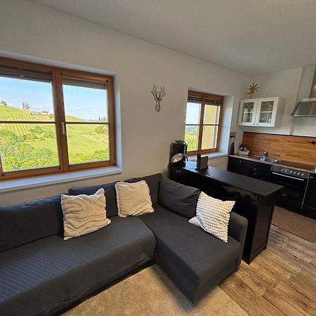Glanz Und Gloria Weingartenapartment An Der Kellerstrasse, Viele Buschenschaenke, Sehr Ruhige Lage, Herrliche Aussicht! Leutschach Dış mekan fotoğraf