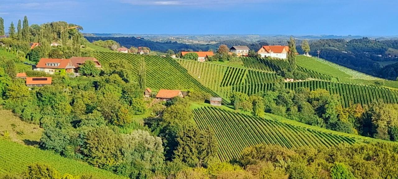 Glanz Und Gloria Weingartenapartment An Der Kellerstrasse, Viele Buschenschaenke, Sehr Ruhige Lage, Herrliche Aussicht! Leutschach Dış mekan fotoğraf