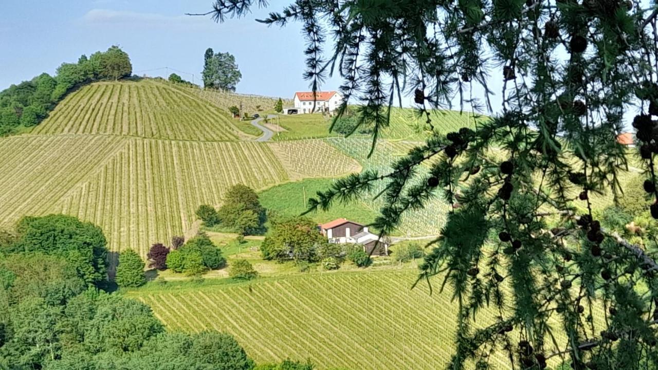 Glanz Und Gloria Weingartenapartment An Der Kellerstrasse, Viele Buschenschaenke, Sehr Ruhige Lage, Herrliche Aussicht! Leutschach Dış mekan fotoğraf