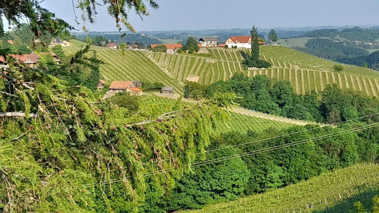 Glanz Und Gloria Weingartenapartment An Der Kellerstrasse, Viele Buschenschaenke, Sehr Ruhige Lage, Herrliche Aussicht! Leutschach Dış mekan fotoğraf