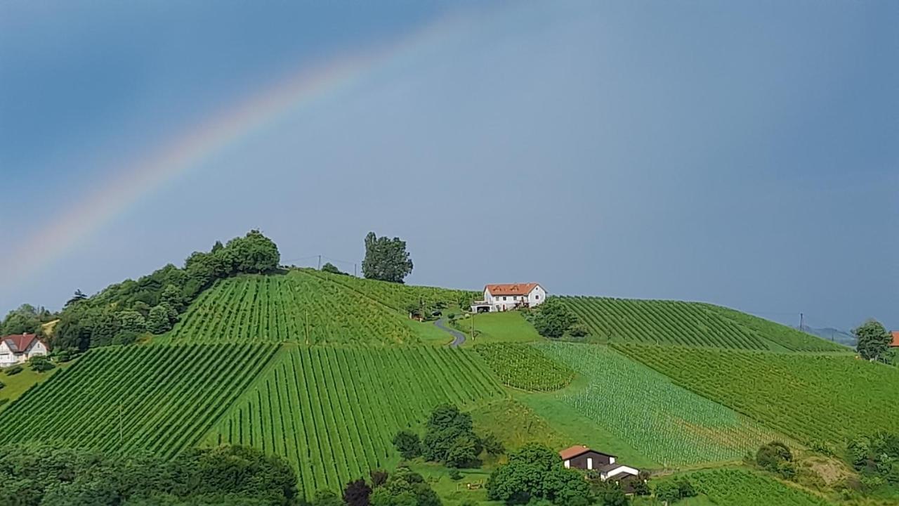 Glanz Und Gloria Weingartenapartment An Der Kellerstrasse, Viele Buschenschaenke, Sehr Ruhige Lage, Herrliche Aussicht! Leutschach Dış mekan fotoğraf